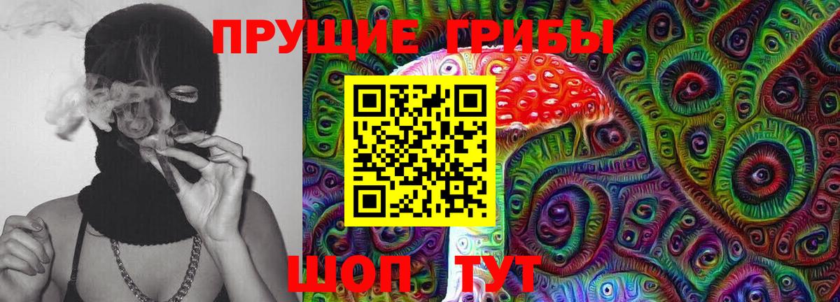 Псилоцибиновые грибы Cubensis  наркошоп  Нижний Новгород  Вход с VPN 